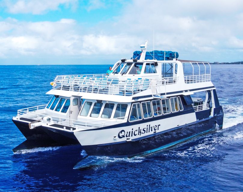 From Ma'alaea: Turtle Town Snorkel aboard Quicksilver - Who This Trip Fits Best, and Who Should Skip It