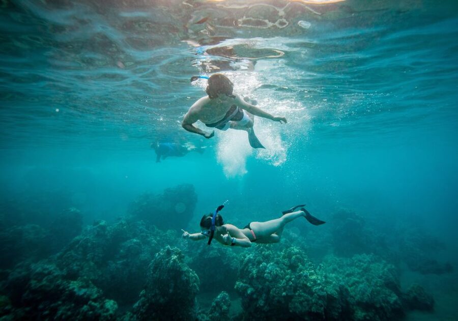 From Maalaea: Turtle Town 3-Hour Snorkel and Sail Adventure - Turtle Town Stops: What You Can Expect To See