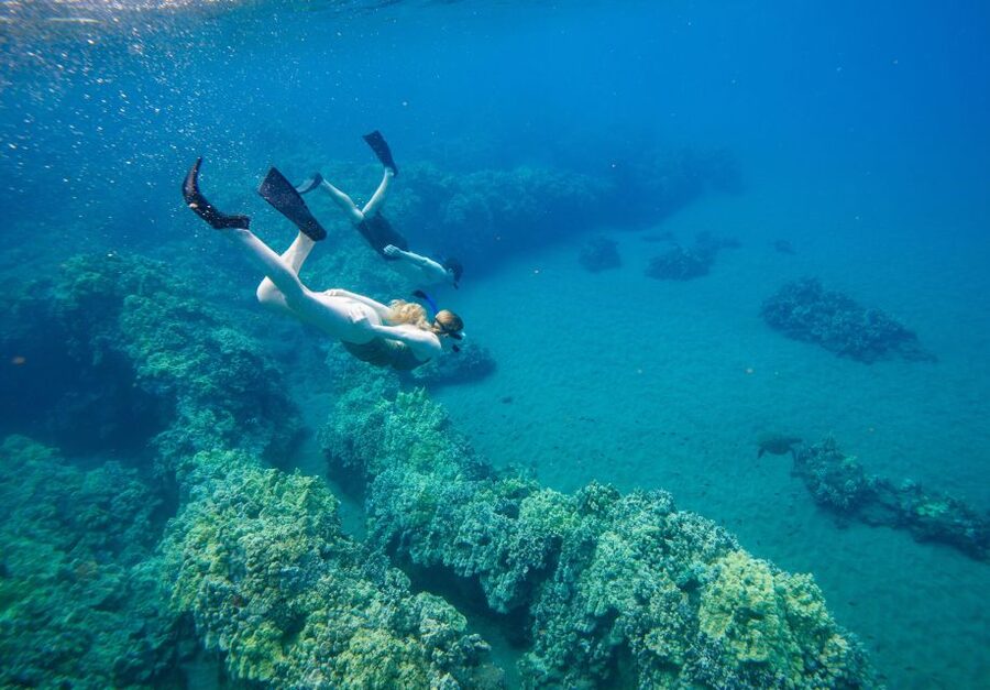 From Maalaea: Turtle Town 3-Hour Snorkel and Sail Adventure - Meeting Point at 233 Maalaea Road, Parking, and Check-In