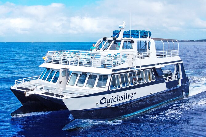 From Maalaea: Whale Watching Tour Aboard the Quicksilver - Key Things to Know Before You Go on Quicksilver