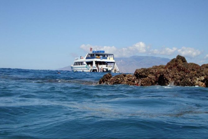 From Maalaea: Whale Watching Tour Aboard the Quicksilver - Safety-First Crew and the Reality of Whale Proximity