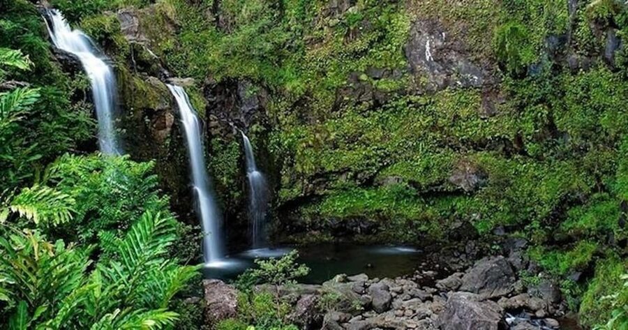 From Maui: Road to Hana Rainforest and Waterfall Experience - Wai’anapanapa State Park and the black sand beach: the signature moment