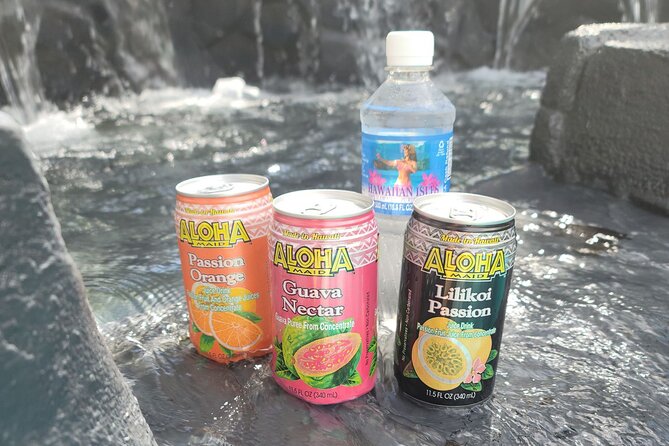 Full-Circle "Reverse" - Luxury Road to Hana Tour from South Maui - Kipahulu and Wailua Falls: two quick hits with big payoff