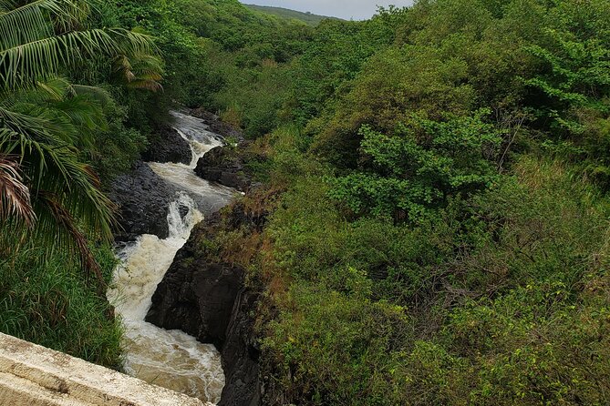 Full-Circle "Reverse" - Luxury Road to Hana Tour from South Maui - The Road to Hana driving segment: 600+ turns and 50+ one-lane bridges