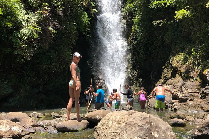 Full-Day Road to Hana and Waterfall Tour - Puaa Kaa State Park waterfall time for the adventurous