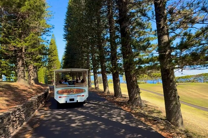 Fun & Affordable! West Maui Open-Air Sightseeing Tour! - Who This Tour Fits Best (And Who Might Want a Different Plan)