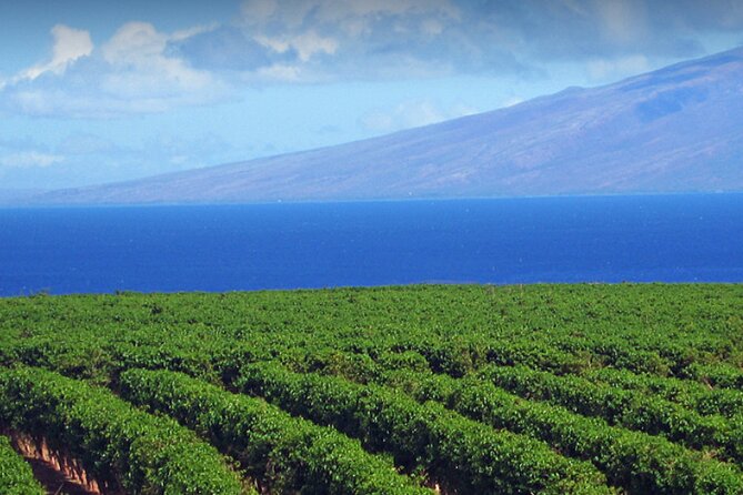Fun & Affordable! West Maui Open-Air Sightseeing Tour! - Should You Book This West Maui Open-Air Tour?