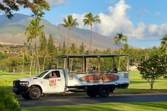 Fun & Affordable! West Maui Open-Air Sightseeing Tour! - Honolua Bay Route: The Viewpoints That Define West Maui in Minutes