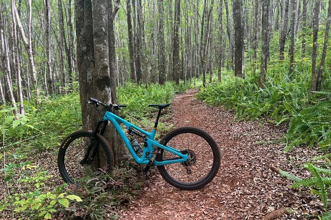 Fun Mountain Bike riding on trails in Maui Hawaii! - Key Highlights You Will Feel Right Away