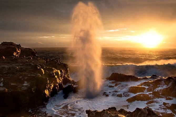 Fun! Open-Air Banyan Tree Forest & Blowhole Sight-Seeing MauiTour - Key highlights worth knowing