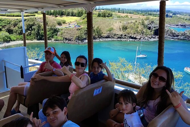 Fun! Open-Air Banyan Tree Forest & Blowhole Sight-Seeing MauiTour - What this West Maui tour does well, and why it feels easy