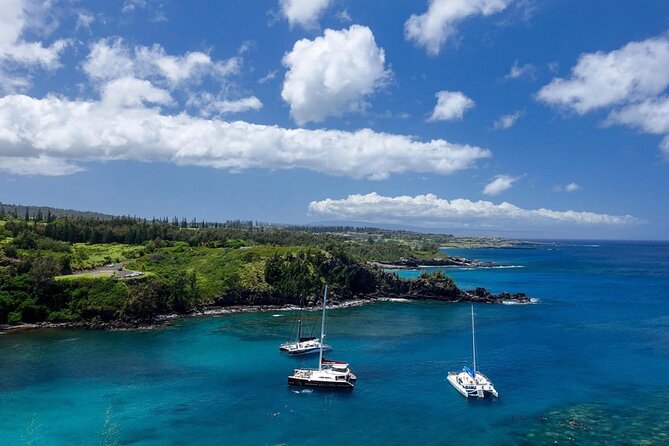 Fun! Open-Air Banyan Tree Forest & Blowhole Sight-Seeing MauiTour - Nakalele Blowhole: how to make a short stop count