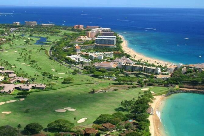 Fun! Open-Air Banyan Tree Forest & Blowhole Sight-Seeing MauiTour - Honolua Bay and the quick lookout hit