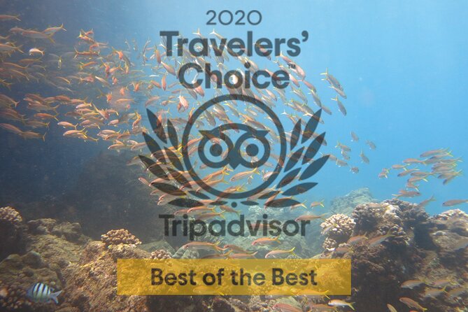 Guided Scuba Dive in Lahaina: Certified - Ka’anapali Beach underwater route: turtles, moray eels, and eagle rays