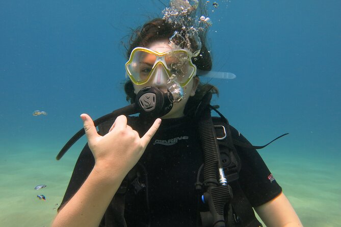 Guided Scuba Dive in Lahaina: Certified - Instructor style that balances fun and protocol