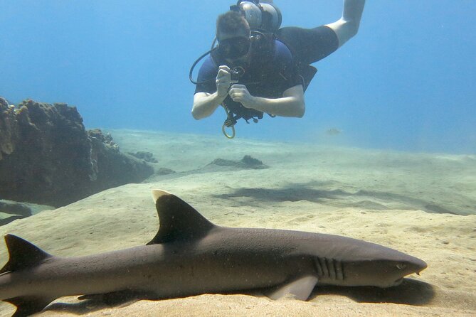 Guided Scuba Dive in Lahaina: Certified - Price and value: what you get for $189 per person
