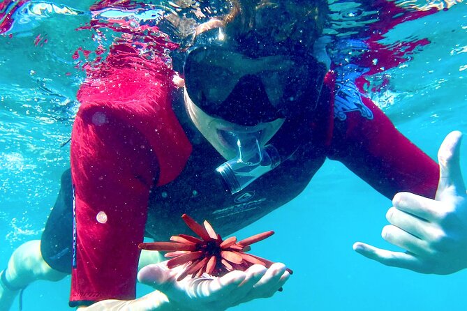 Guided Snorkeling for Beginners with Flotation Wetsuit - Key things about this beginner snorkeling tour