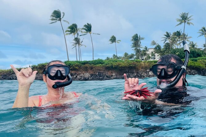 Guided Snorkeling for Beginners with Flotation Wetsuit - What’s included in the $139 value, and what to budget for