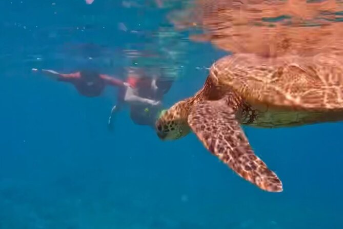 Guided Snorkeling for Beginners with Flotation Wetsuit - Should you book this beginner snorkeling tour or skip it?