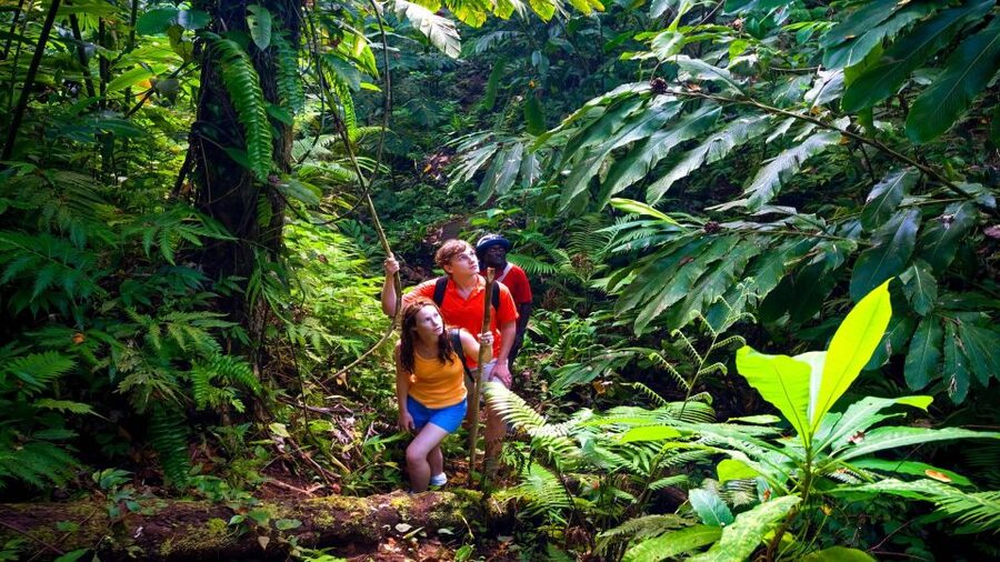 Haiku: Waterfall, Rainforest, and Handcrafted Chocolate Tour - The “without the long Hana drive” setup that makes this work