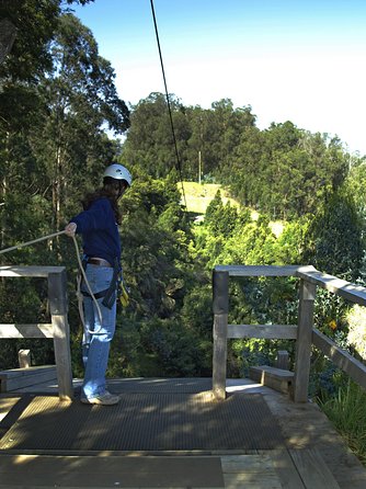 Haleakala 6 Line Zipline Adventure - The Zipline Portion: Eucalyptus Forest, Canyon Crossings, and Volcano Views