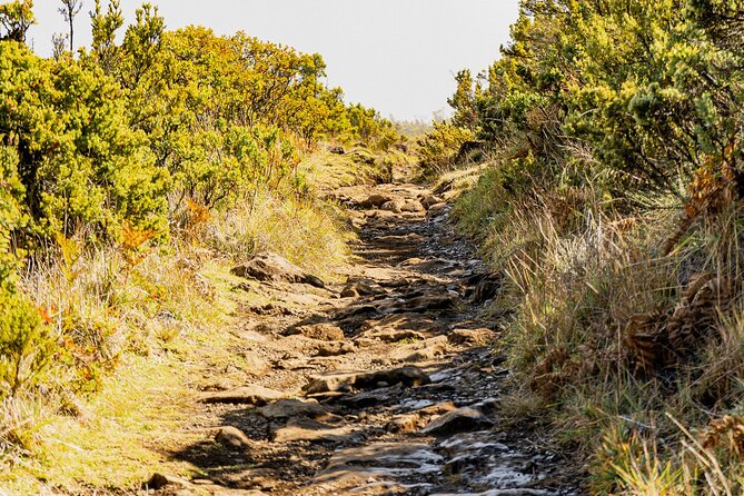 Haleakala Crater Hiking Experience - Haleakala National Park: Wildlife, Plants, and Cultural Meaning