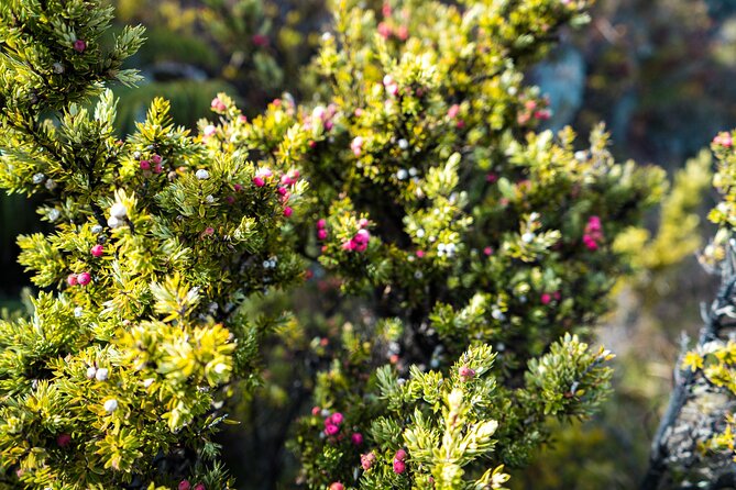 Haleakala Crater Hiking Experience - Weather, Wind, and What to Wear