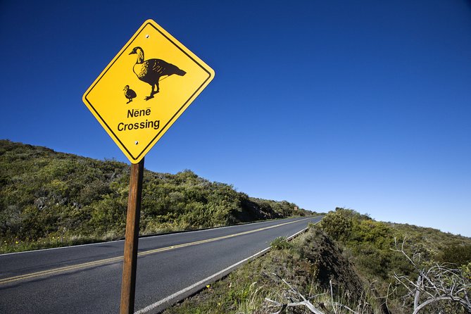 Haleakala Sunset and Stargazing Audio Tour - Stop 5 and 6: Leleuvia Island and Kalahaku Overlook, Fog That Plays Tricks
