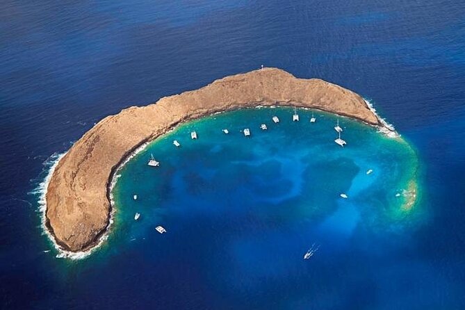 Half-Day Deluxe Molokini Snorkel Excursion in Maui - Snorkeling gear, reef safety, and a few smart tips