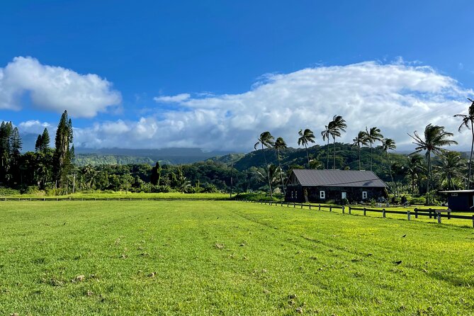 Half Day Private VIP Road to Hana Tour - Ke‘anae Point: where banana bread belongs