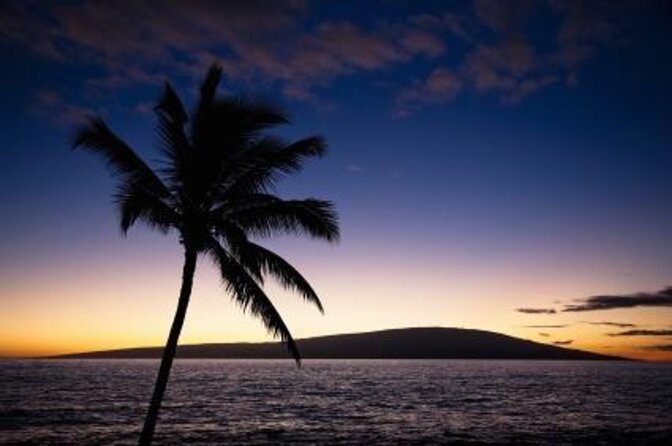 Half Day Snorkel to Lanai from Kaanapali Beach + Dolphin Search - Key things you’ll notice on this tour