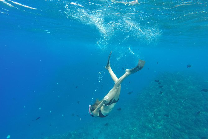 Half Day Snorkel to Lanai from Kaanapali Beach + Dolphin Search - Lanai in half a day, and why this format works
