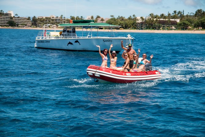 Half Day Snorkel to Lanai from Kaanapali Beach + Dolphin Search - Wildlife on the route: spinner dolphins, turtles, and humpbacks in season