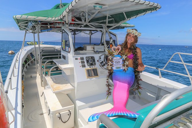 Half Day Snorkel to Lanai from Kaanapali Beach + Dolphin Search - Price and what you’re really buying for $192.80