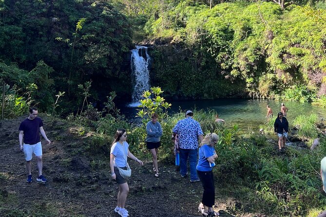 Halfway Road to Hana - Small Group — Taste of Hana & Waterfalls - Why a Half-Day Road to Hana Works (and where it feels rushed)