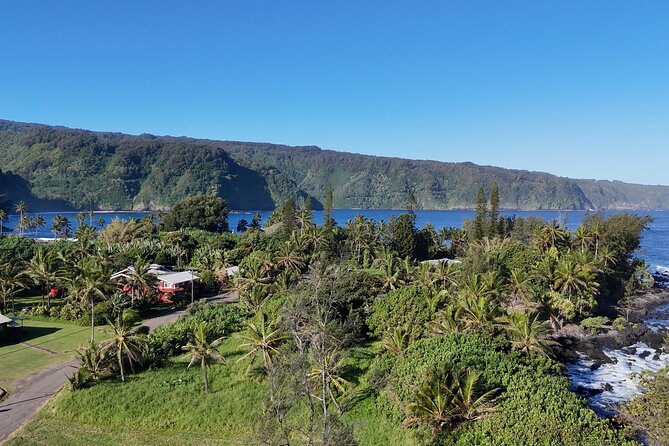 Halfway Road to Hana - Small Group — Taste of Hana & Waterfalls - Pua‘a Ka‘a State Park and the Waterfall Dip (Plan the Change-Out)