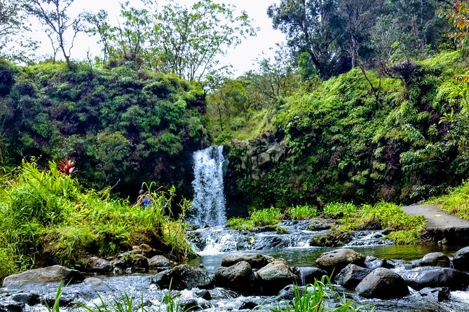Halfway to Hana Tour of Maui Black Sand Beach Waterfalls Turtles - SUV comfort and the small-group advantage on Hana Highway