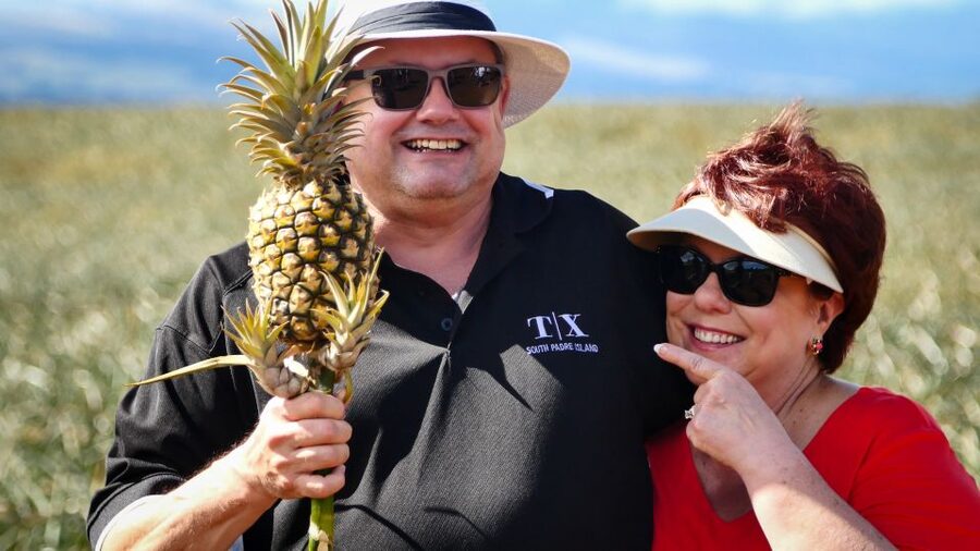 Hali'imaile: Pineapple Farm Tour - The grove walk: where comfortable shoes matter