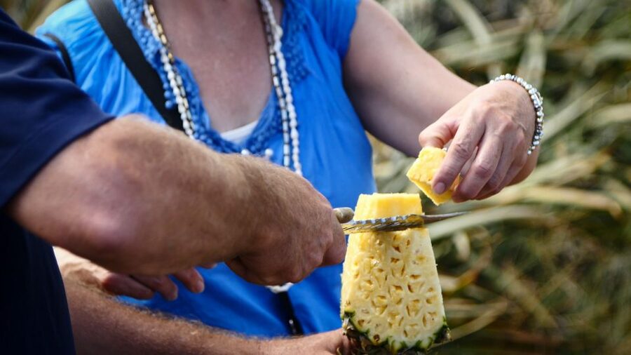 Hali'imaile: Pineapple Farm Tour - The working farm part you actually learn from