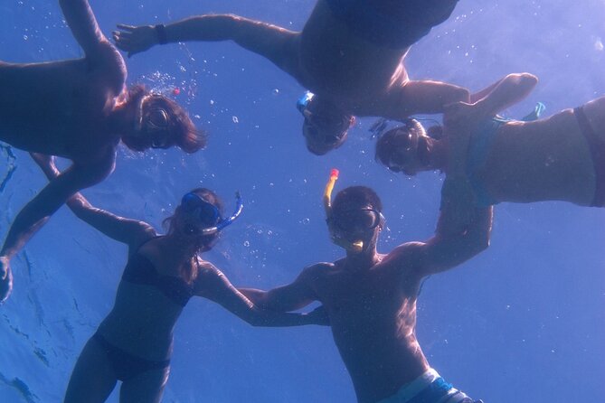 Hawaiian Canoe Sailing Experience in Maui - What You’ll See: Sea Turtles, Rays, Reef Fish, and Humpback Whales