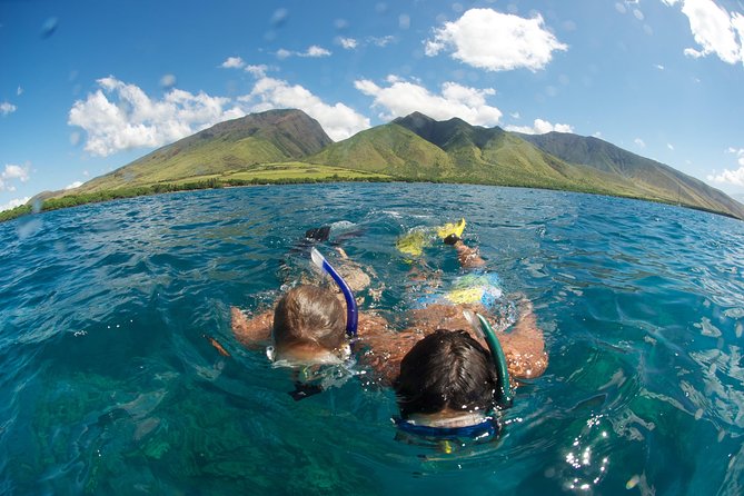 Hawaiian Outrigger Canoe Cultural and Turtle Tour - A Workout, Plus Comfort Notes You Shouldn’t Ignore