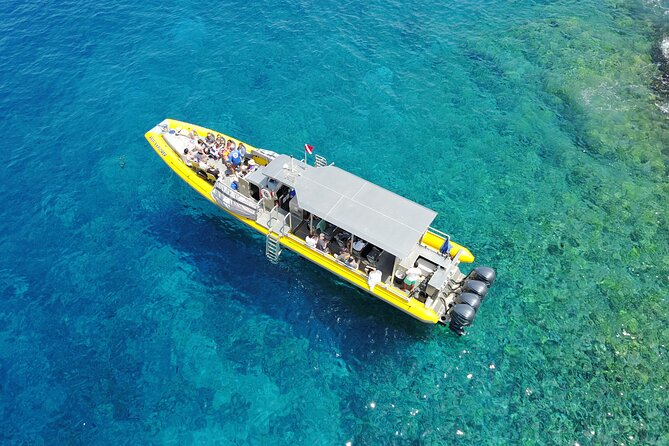 HIGH QUALITY Whale Watch Adventure Aboard Luxury Super Raft - Who should book this whale watch, and who might want to choose another day