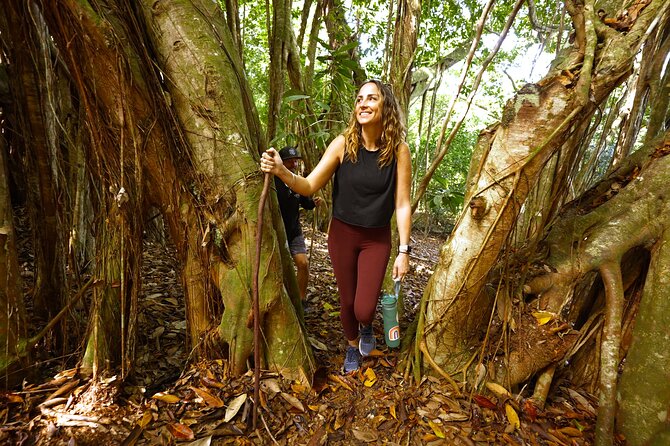 Hike Honolua Ridgeline - The 2-mile ridgeline walk under shade, with a moderate fitness baseline