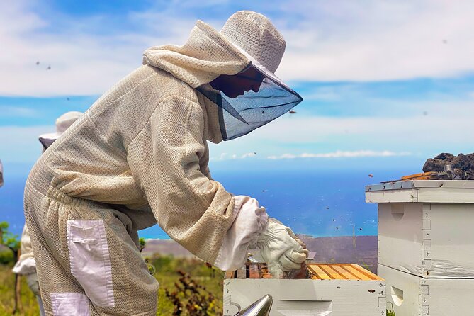 Honey Bee Adventure at the Maui Honey Bee Sanctuary - A Kula Honey Farm Tour That Lets You See the Whole Story