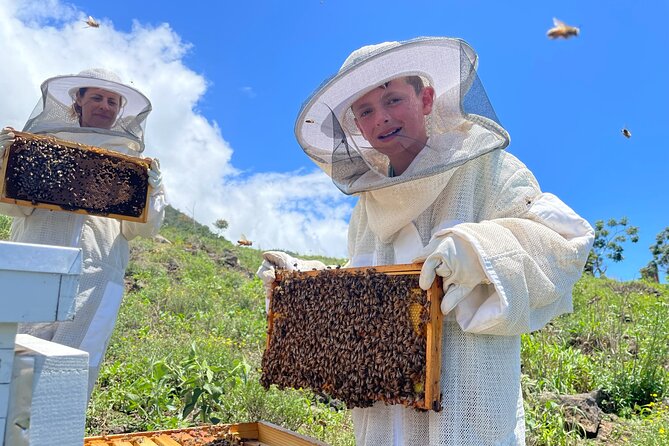 Honey Bee Adventure at the Maui Honey Bee Sanctuary - Panoramic Apiary Views: Why the Setting Matters