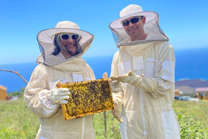 Honey Bee Adventure at the Maui Honey Bee Sanctuary - The 90-Minute Flow: Presentation, Hive Time, Honey Tasting