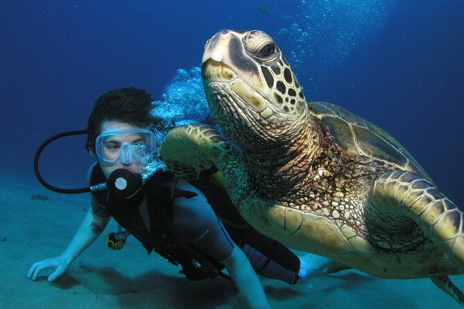 Intro/Refresher Dive Swim Ability Required - What Happens During the 2-Hour Experience (And What You Can Expect)