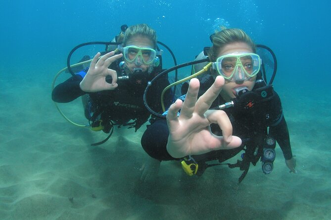 Intro/Refresher Dive Swim Ability Required - Gear and Inclusions: What’s Included in the $239 Price