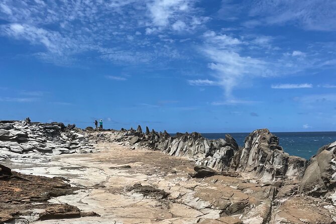 Island of Maui Customized Half Day Tour - Key highlights worth planning for
