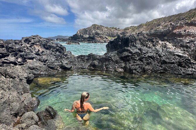 Island of Maui Customized Half Day Tour - Price and value: why $350 per person can make sense